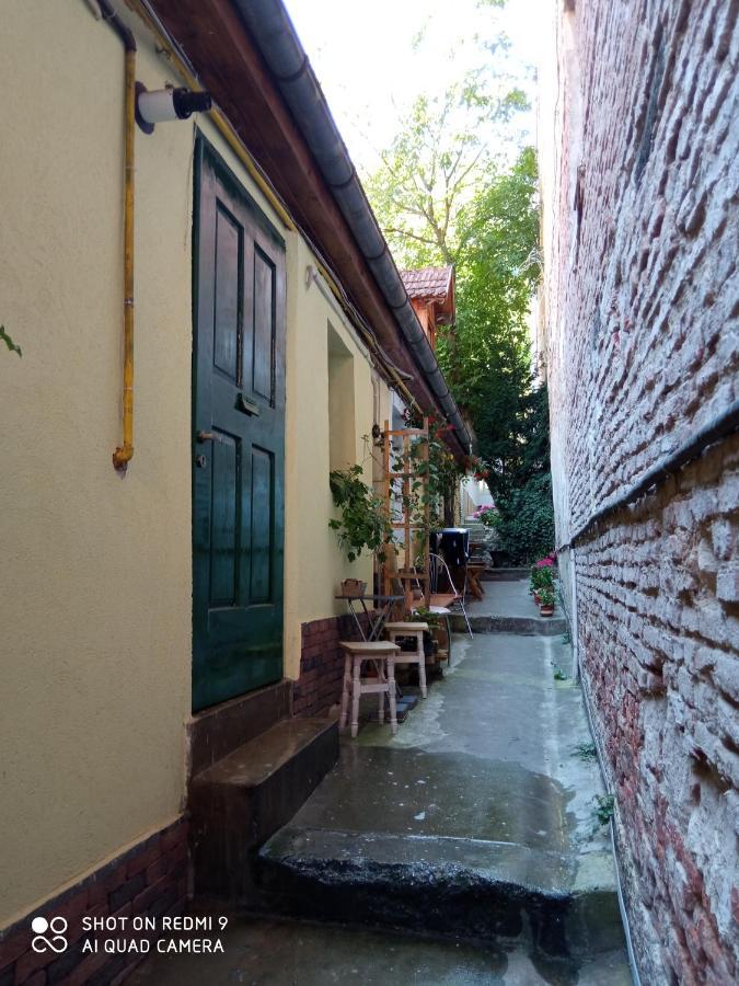 Ferienwohnung Crown Of Karolina Brașov Exterior foto